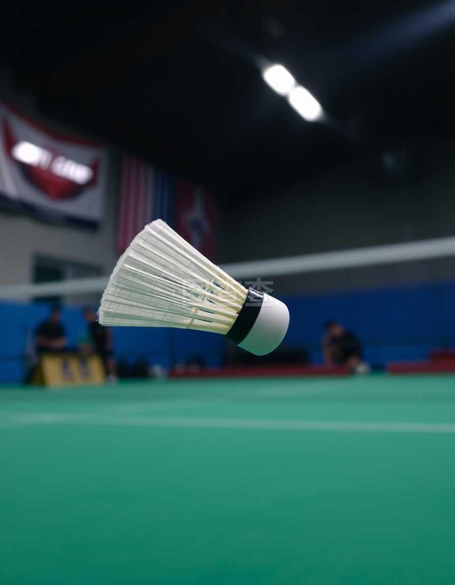 员背后不可 员背后不可