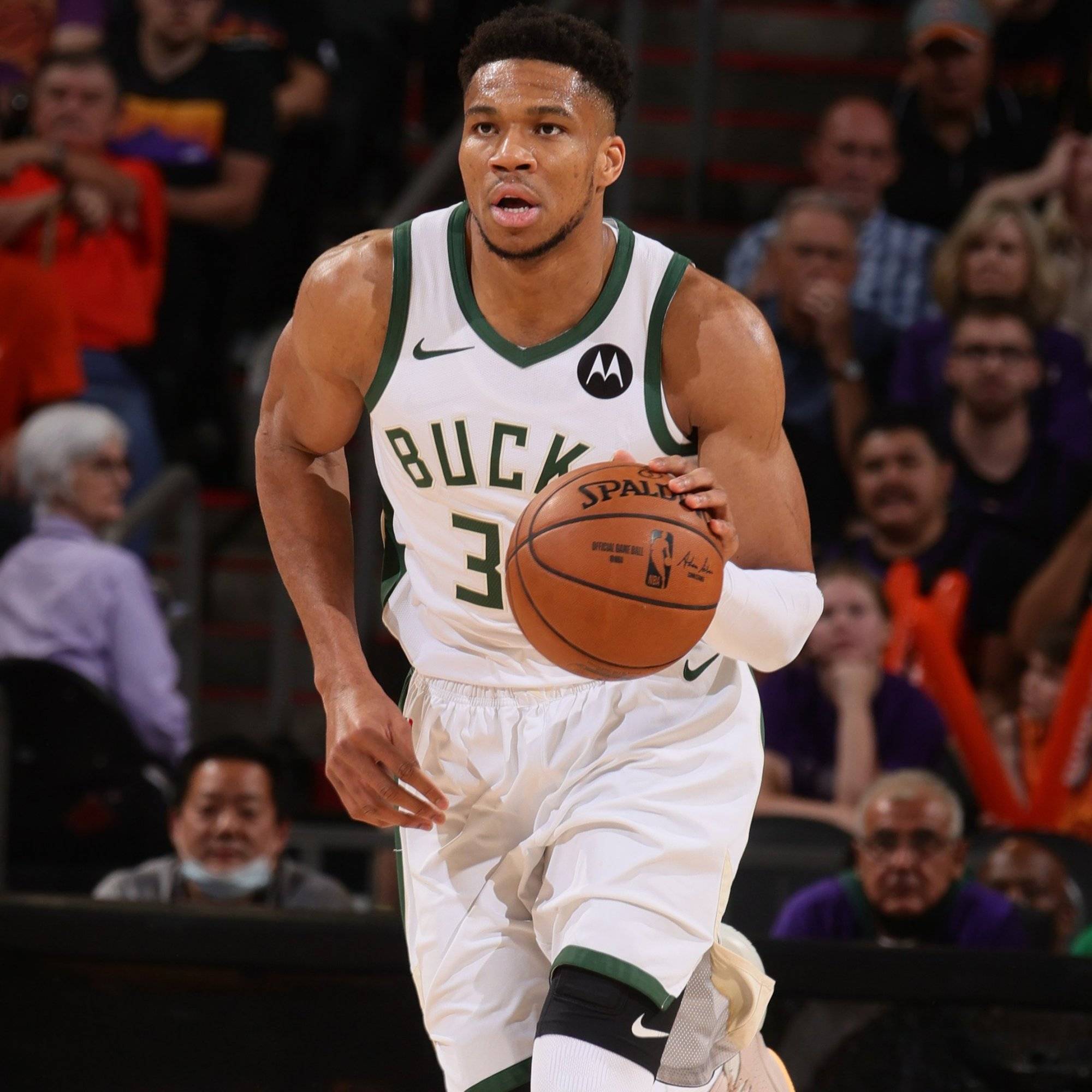 爱马选择在 爱马选择在