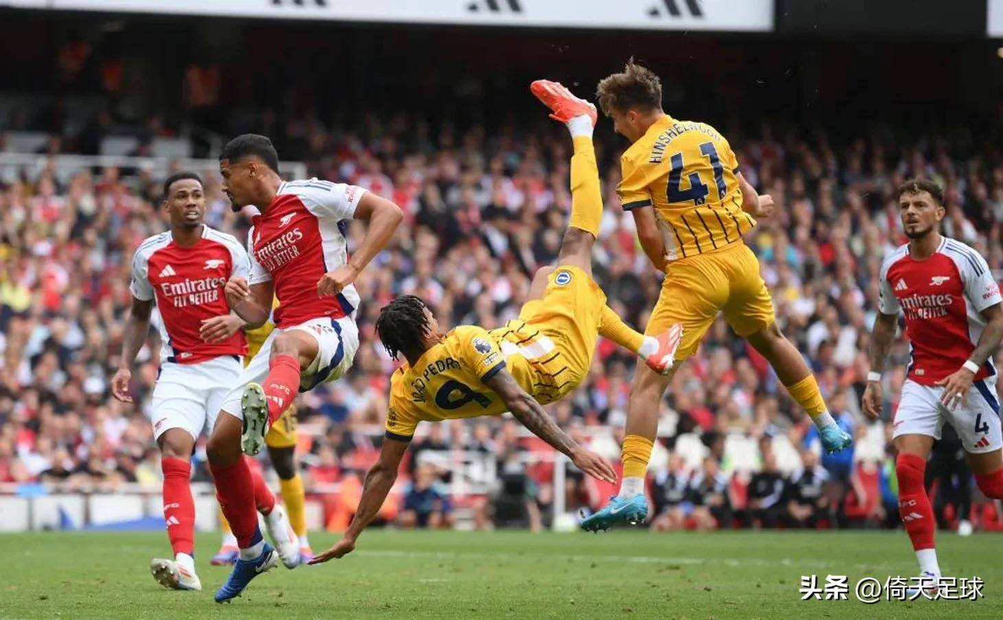 这份理性 这份理性